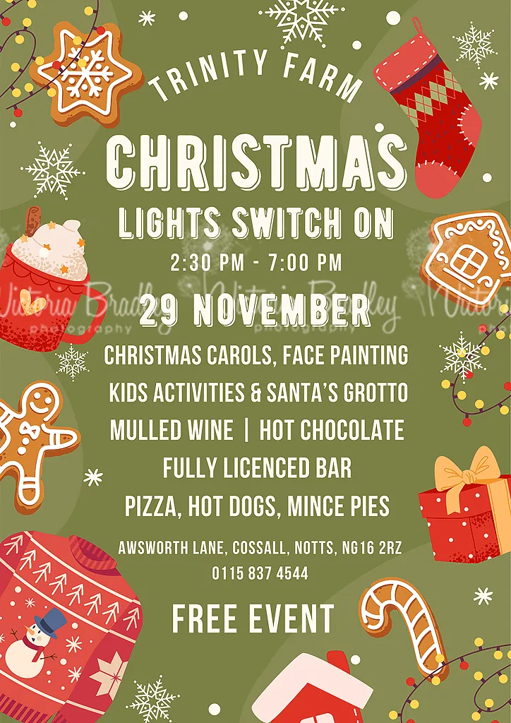 Christmas Light Switch-On