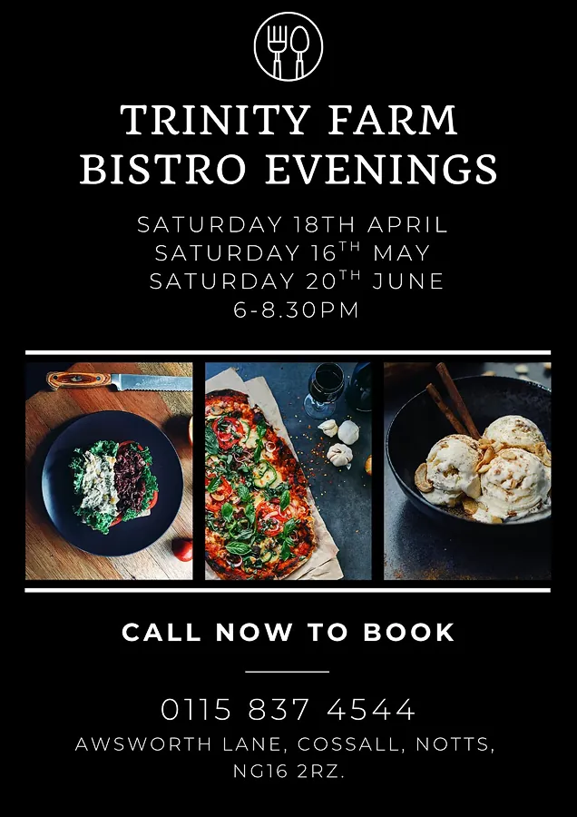 Bistro Evenings Return